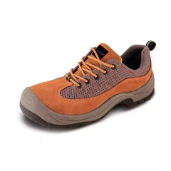 DEDRA-EXIM-BH9P3-44-5902628212399