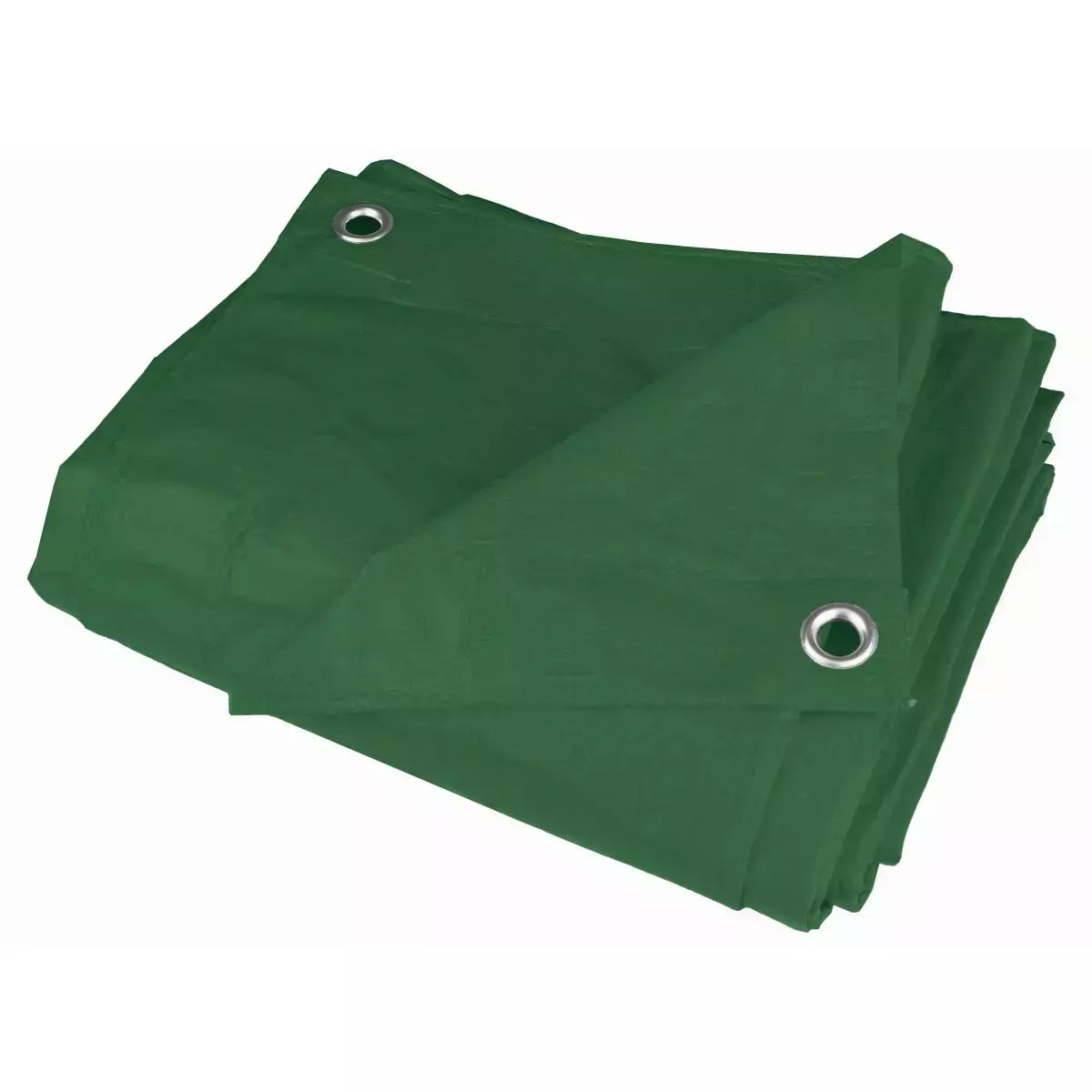 Brezentas 5x8m, 80g/m² Dedra-N06058-5902628250087